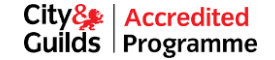 partner-image